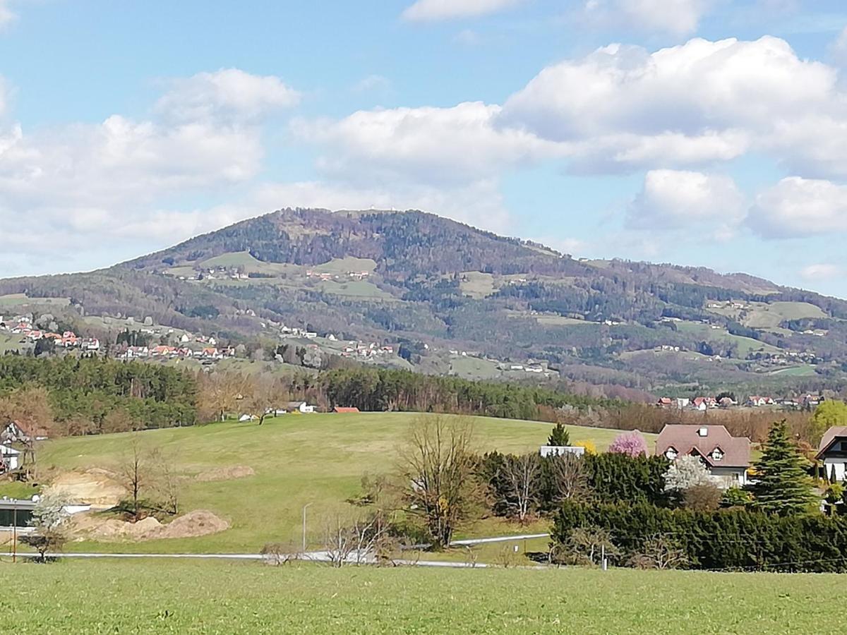 Ferienwohnung Wachmann Rohrbach am Kulm Szoba fotó